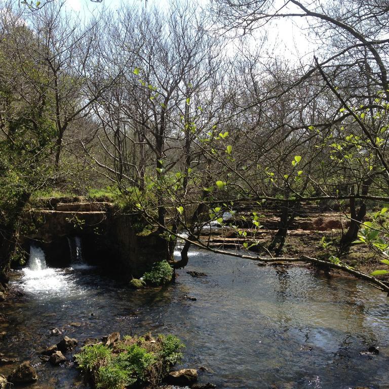 Trisileja En Puente Romano Toñanes エクステリア 写真